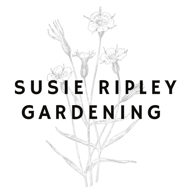 Susie Ripley Gardening NZ