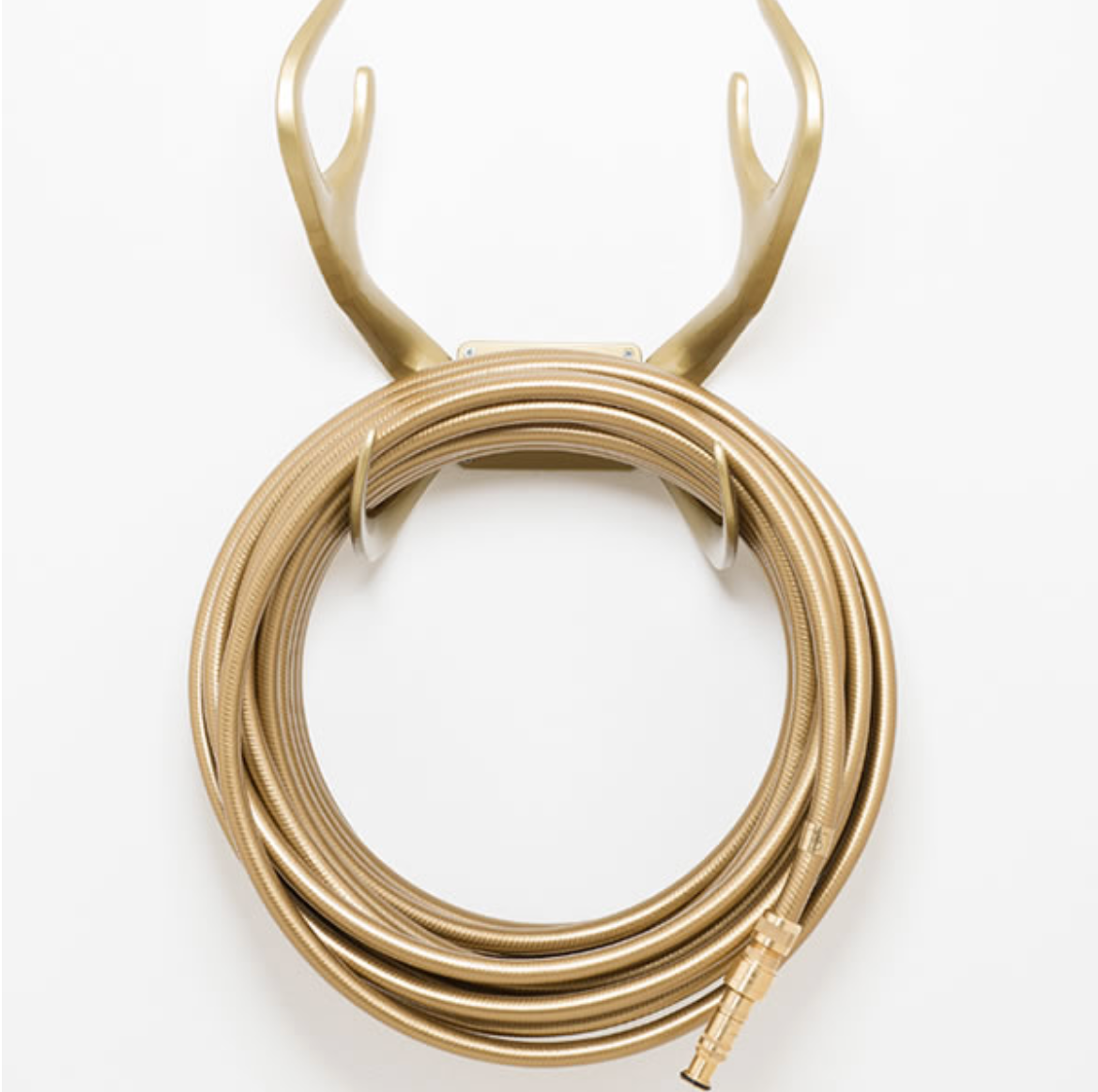 Antler Hose Holder Gold