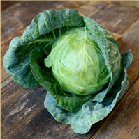 Cabbage 'Tiara'