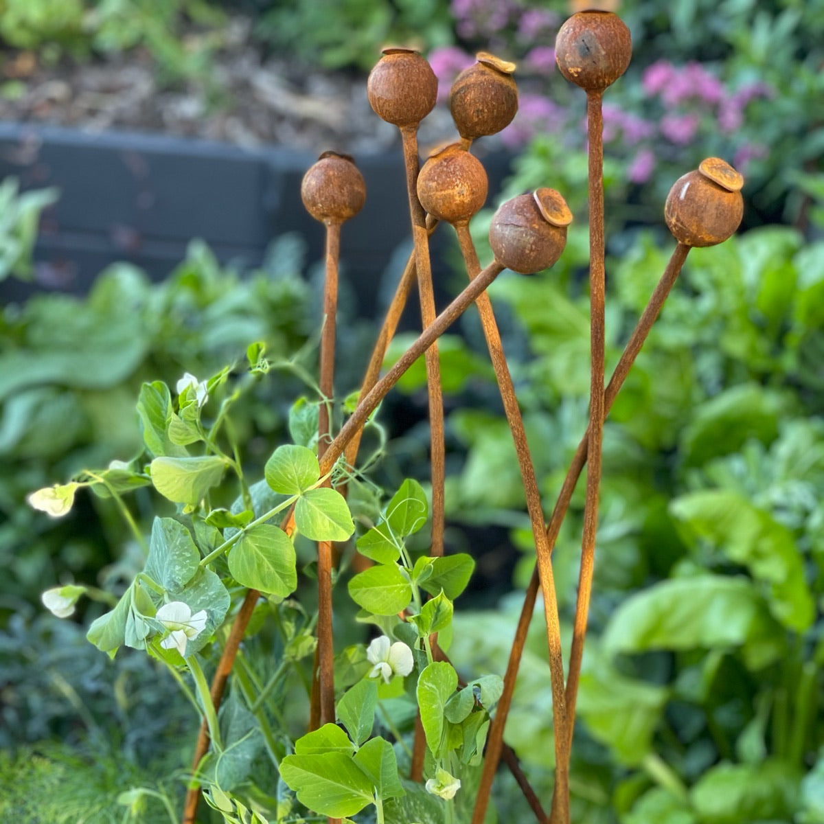 Bundle of 3 Poppy Pod Stakes