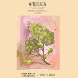 Angelica archangelica