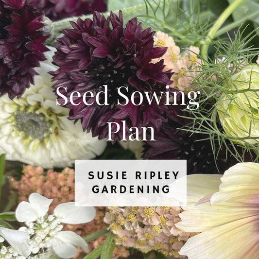 Sowing Plan Example SOWING PLANNERS – Susie Ripley Gardening