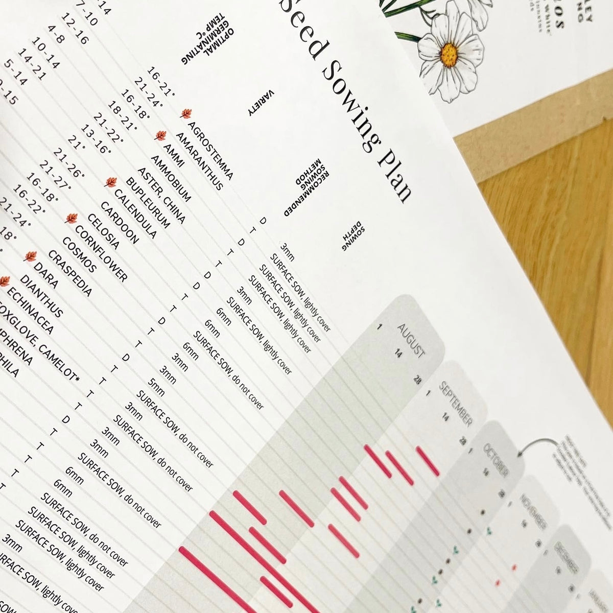Sowing Plan Example Laminated Annual Seed Sowing Planner – Susie Ripley Gardening