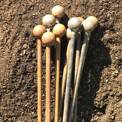 120cm Ball Topped Stake Bundle of 5